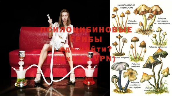 кокаин перу Кинешма