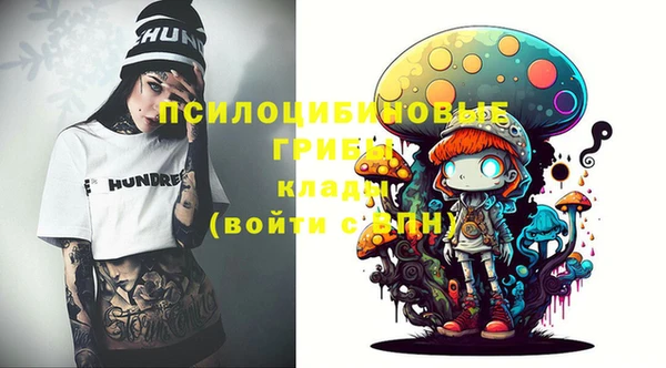 ГАЛЛЮЦИНОГЕННЫЕ ГРИБЫ Киренск