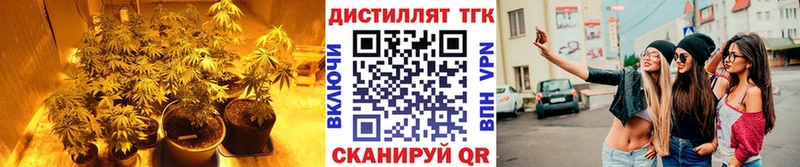 ТГК жижа  Купить где  Завитинск 