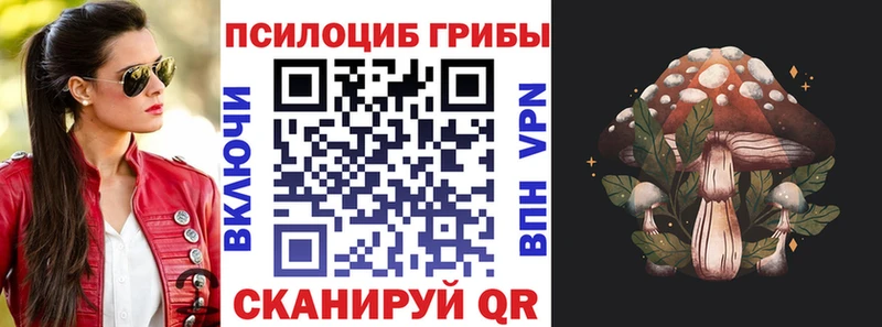 Купить где  Завитинск  Псилоцибиновые грибы Psilocybine cubensis 